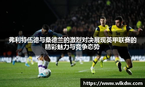 弗利特伍德与桑德兰的激烈对决展现英甲联赛的精彩魅力与竞争态势