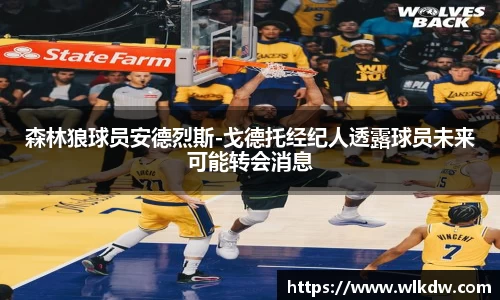 森林狼球员安德烈斯-戈德托经纪人透露球员未来可能转会消息