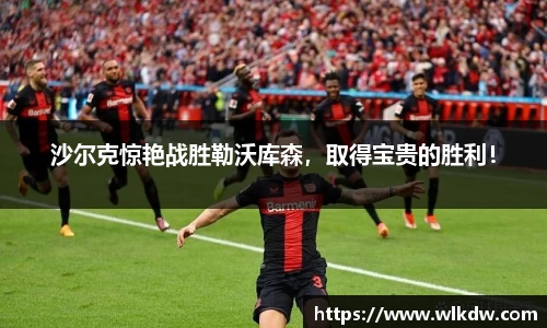 沙尔克惊艳战胜勒沃库森，取得宝贵的胜利！